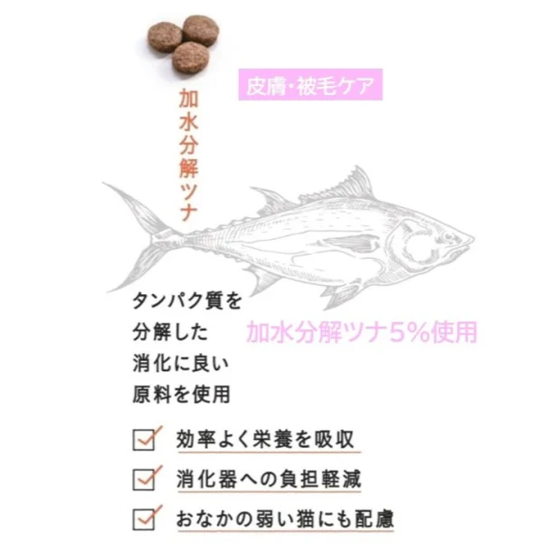 ギャラリー画像 11