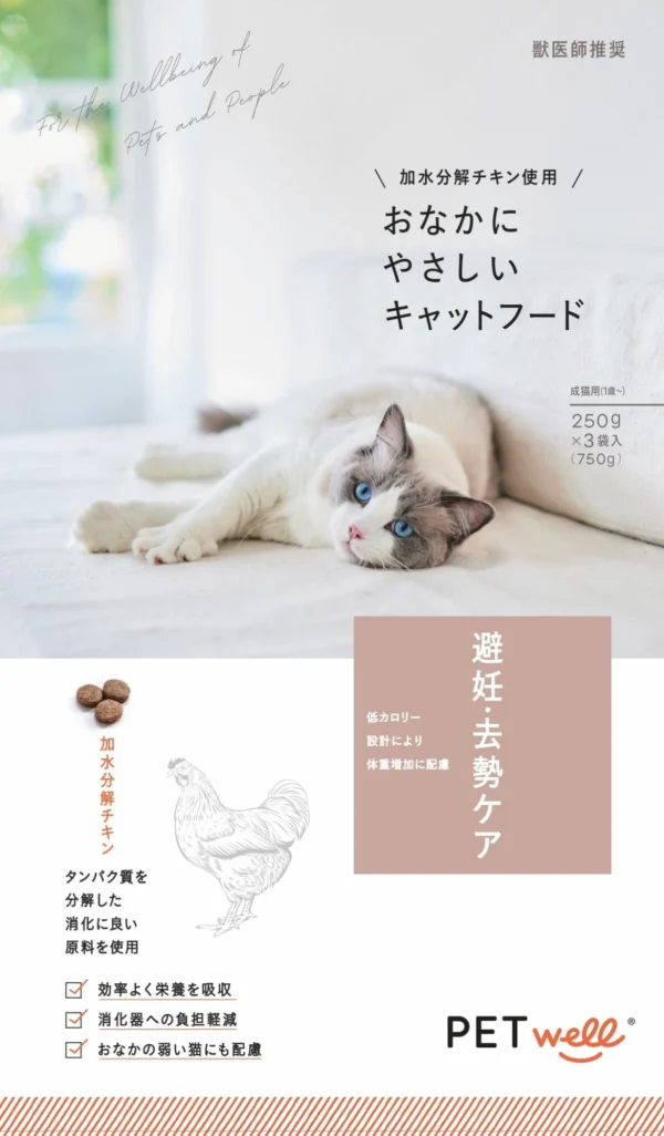 ギャラリー画像 13