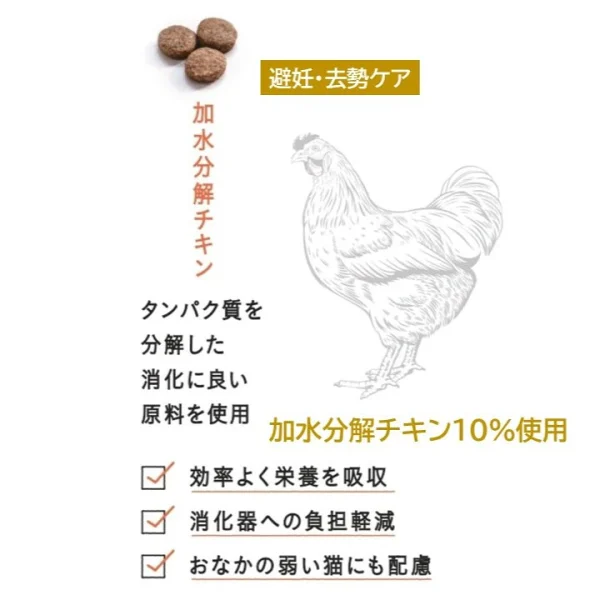 ギャラリー画像 14