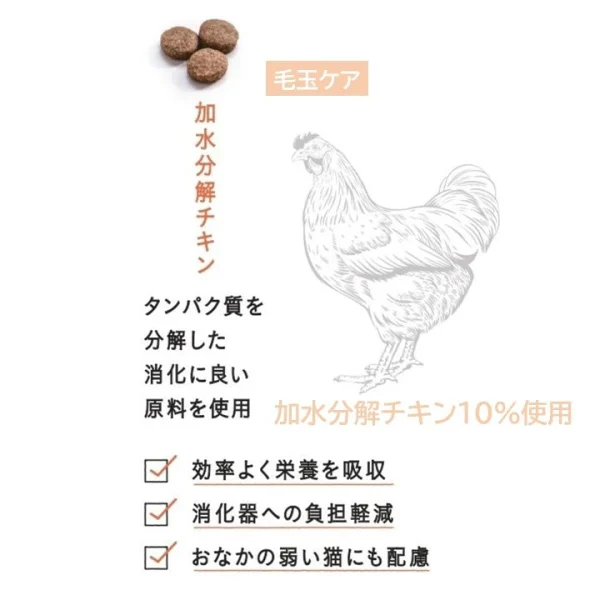 ギャラリー画像 17