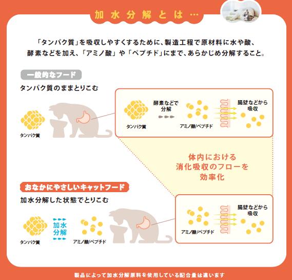 ギャラリー画像 3