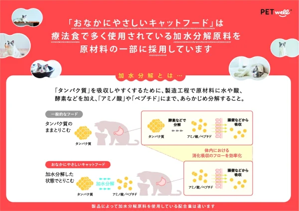 ギャラリー画像 5