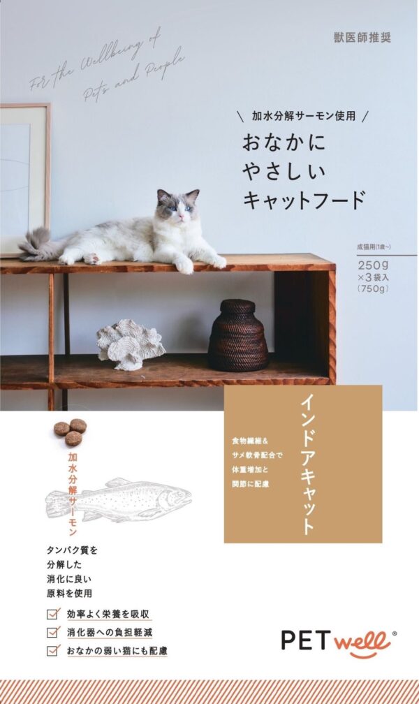 ギャラリー画像 1