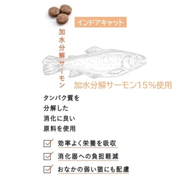 ギャラリー画像 2