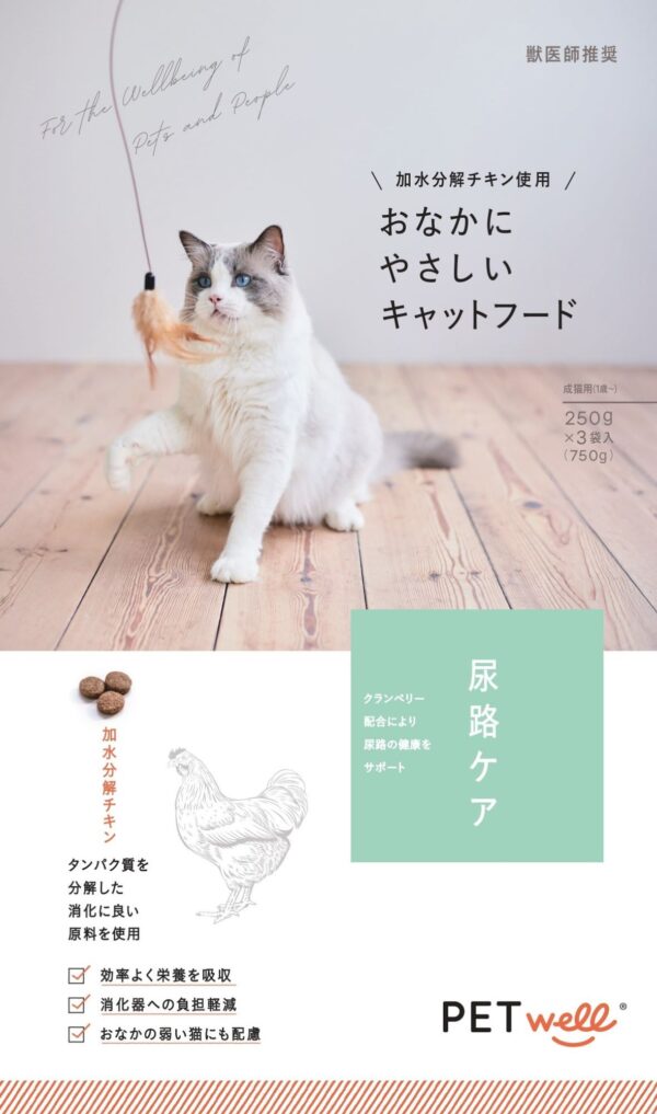 ギャラリー画像 7