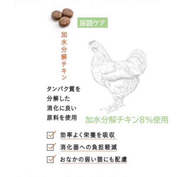 ギャラリー画像 8