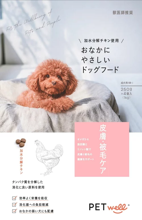 ギャラリー画像 10