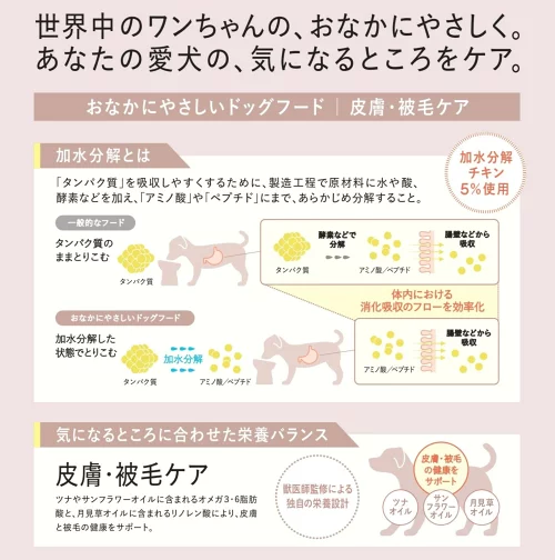 ギャラリー画像 11