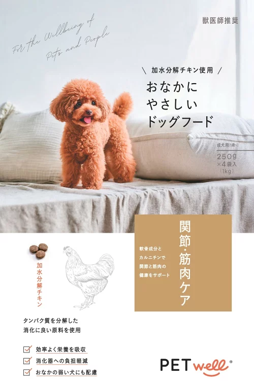 ギャラリー画像 13