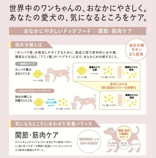 ギャラリー画像 14
