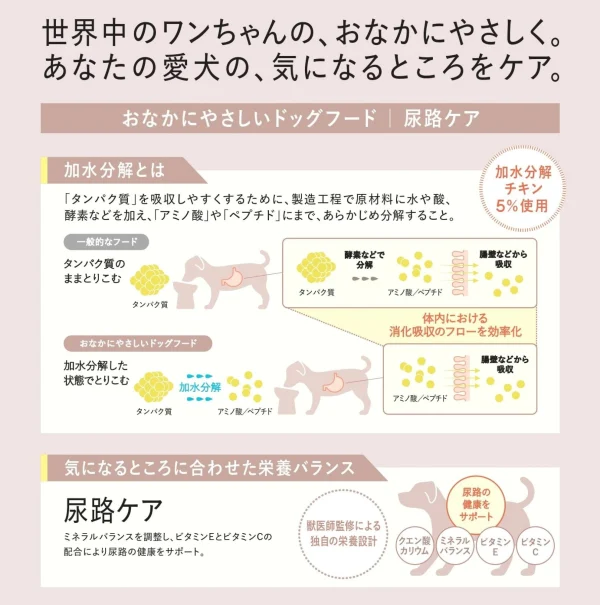 ギャラリー画像 17