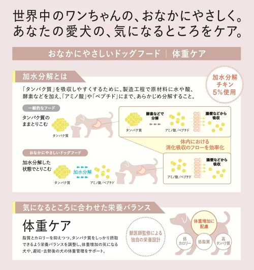 ギャラリー画像 8
