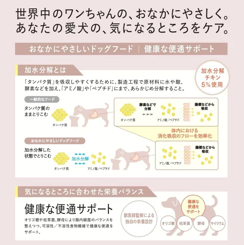 ギャラリー画像 2