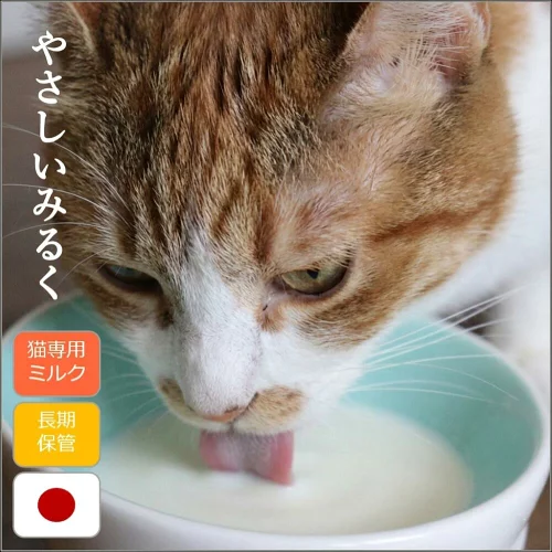ギャラリー画像 1