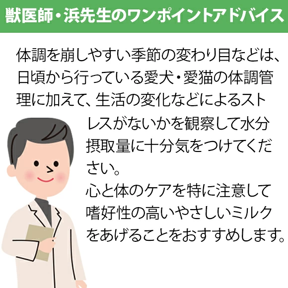 ギャラリー画像 6