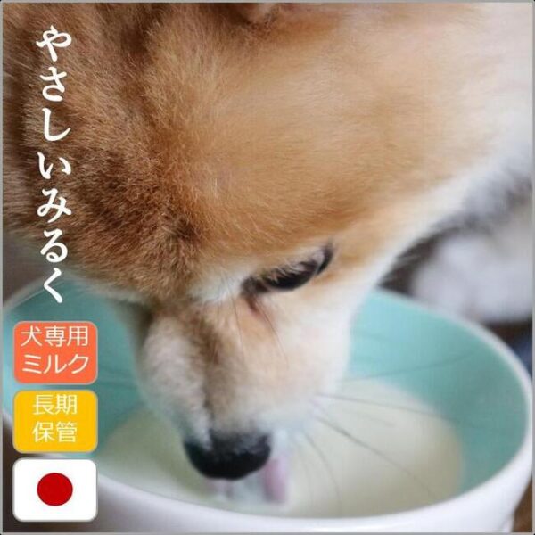 ギャラリー画像 1