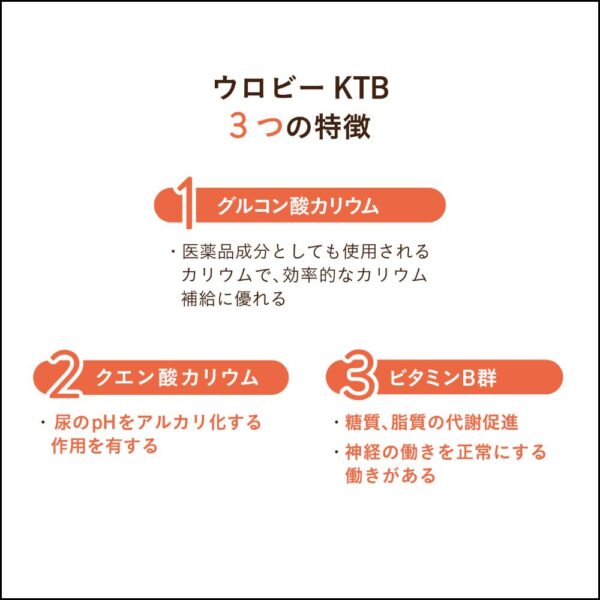 ギャラリー画像 2
