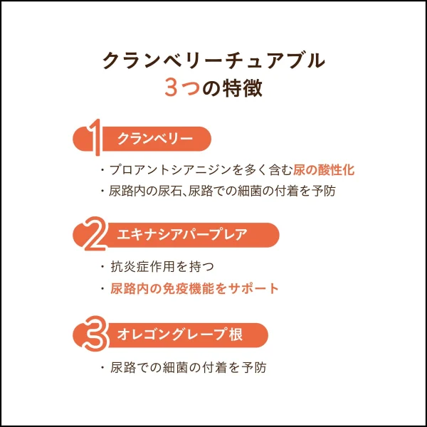 ギャラリー画像 3