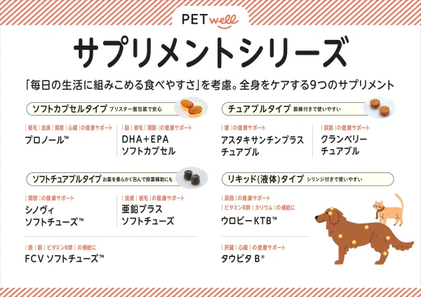 ギャラリー画像 3