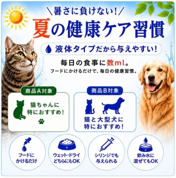 ギャラリー画像 4