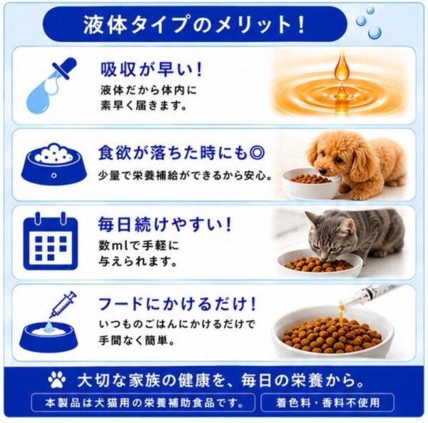 ギャラリー画像 5