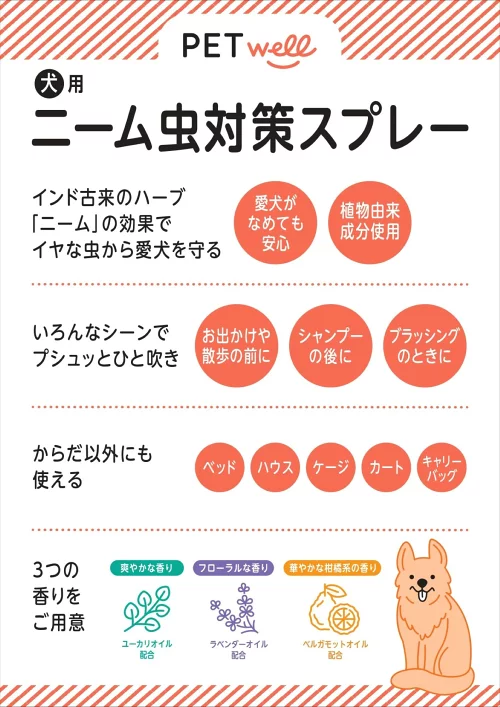 ギャラリー画像 4