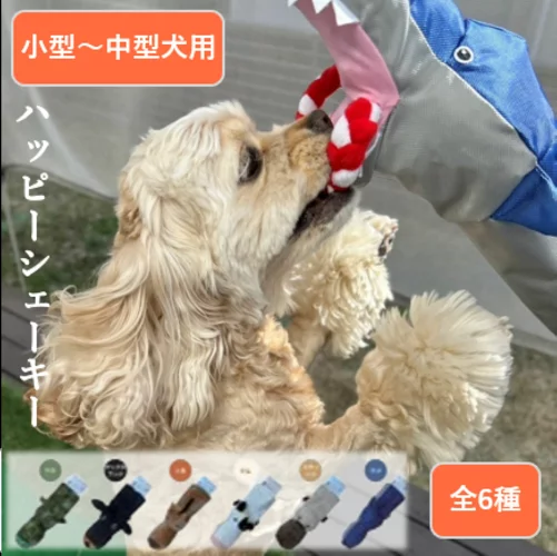 ギャラリー画像 1