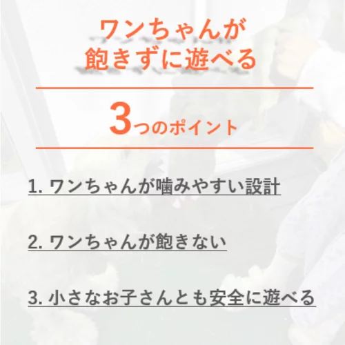 ギャラリー画像 3