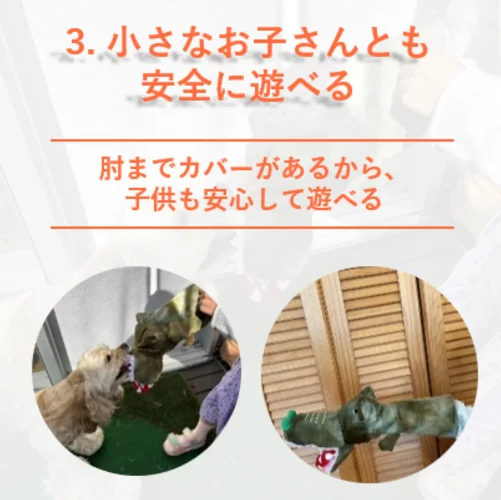 ギャラリー画像 6