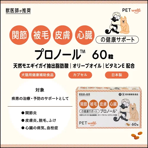 ギャラリー画像 1