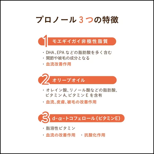 ギャラリー画像 2