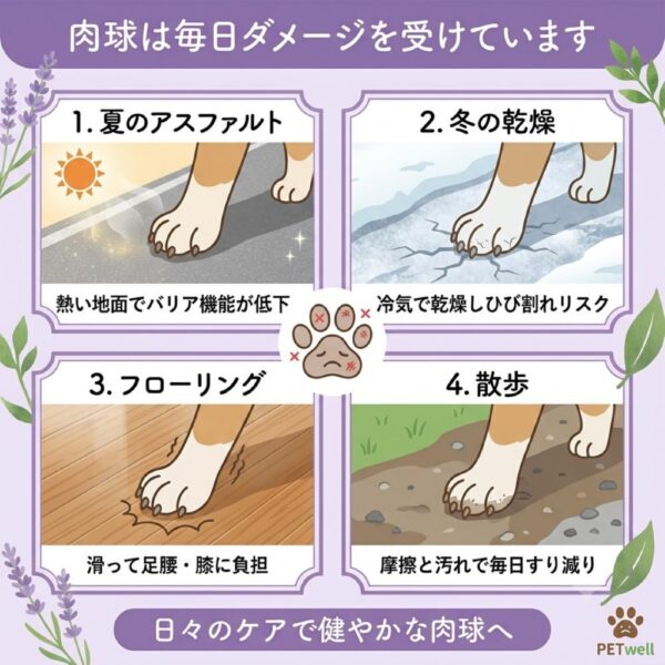 ギャラリー画像 3