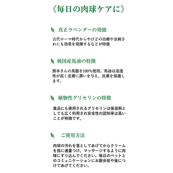 ギャラリー画像 5