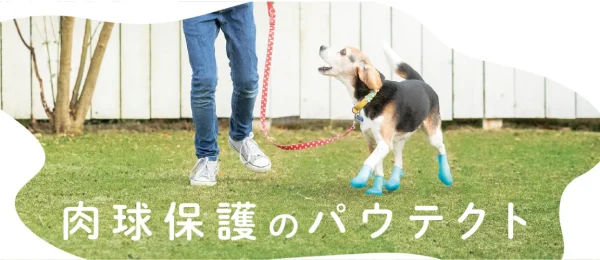 ギャラリー画像 2