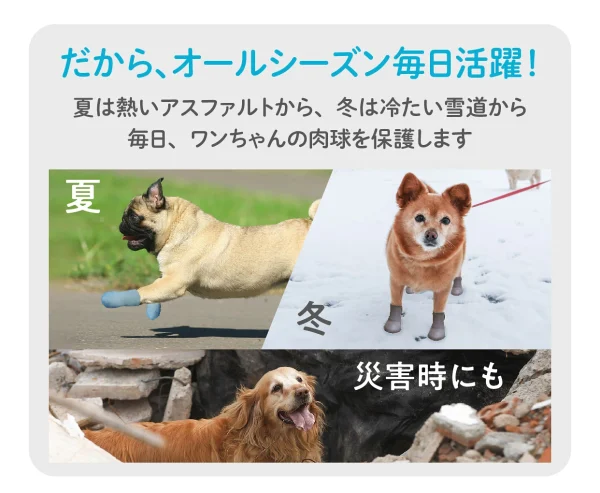 ギャラリー画像 5